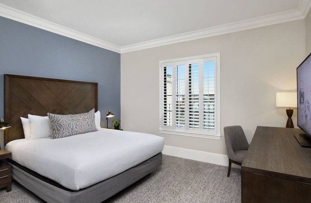 Downtown Location! Two Classy and Pet-friendly Accommodations with Free Parking!