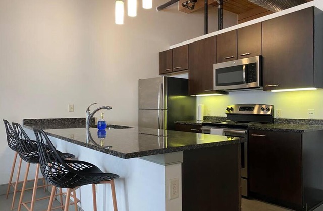 Downtown Loft with Skyline View