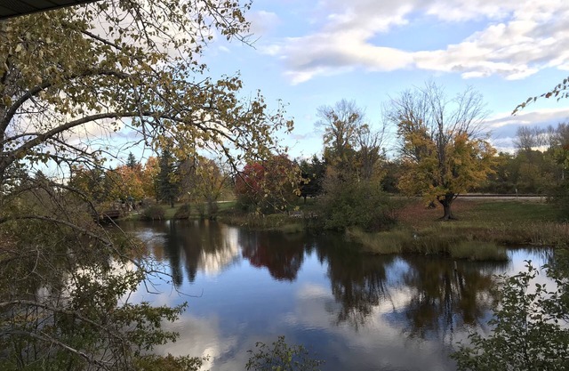 Downtown Riverside Condo
