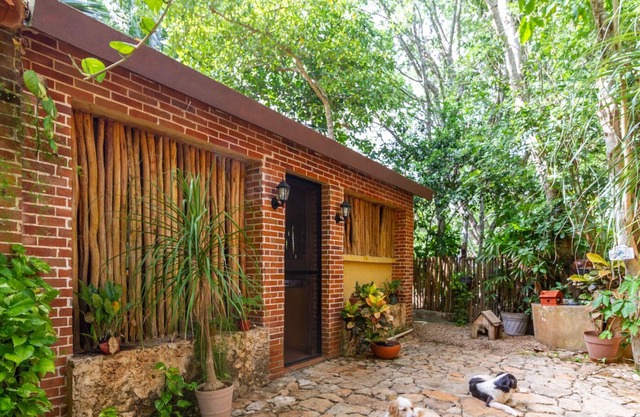 DRAGONFLY country house with swimming pool and beautiful tropical garden