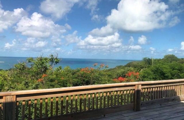 Dream View