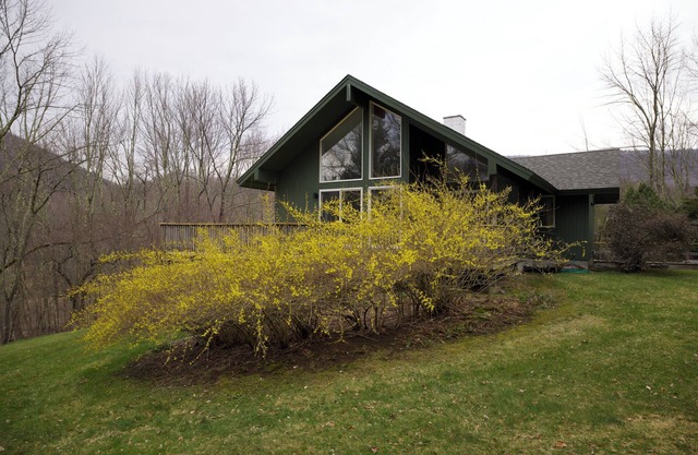 Dreamy, contemporary 3-bedroom country home in Sandgate - Great for families!