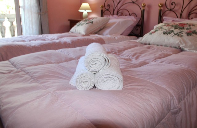 Duca's Guest House