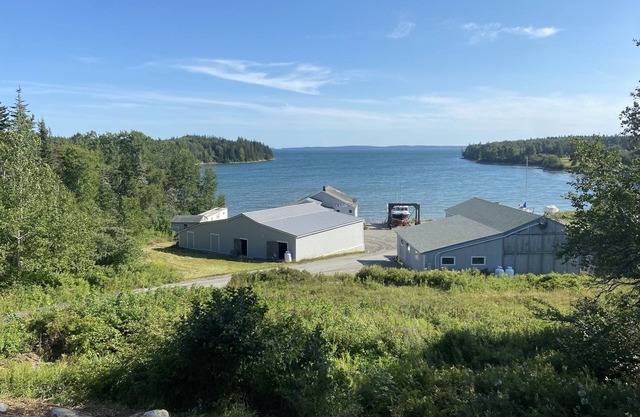 Duck Cove Cottage overlooking beautiful Blue Hill Bay