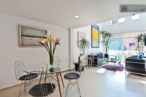 Duplex Penthouse Zona Rosa