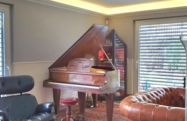Duplex, piano, billard, ping-pong, jardin