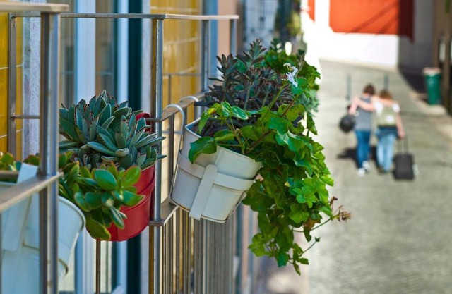 Duque´s Apartments