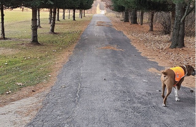 EAA home for rent Secluded Country Home 23 miles from EAA