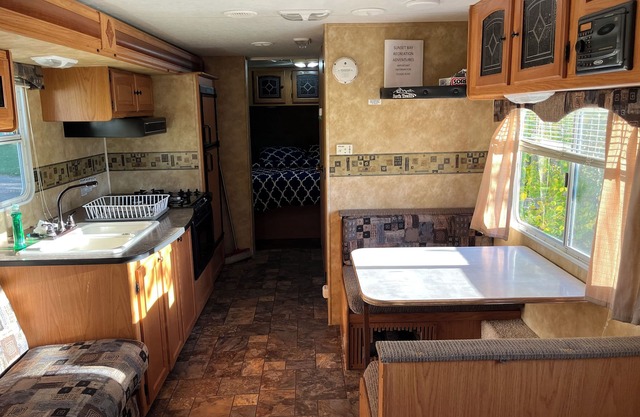 Eagle- Camper at Sunset Bay