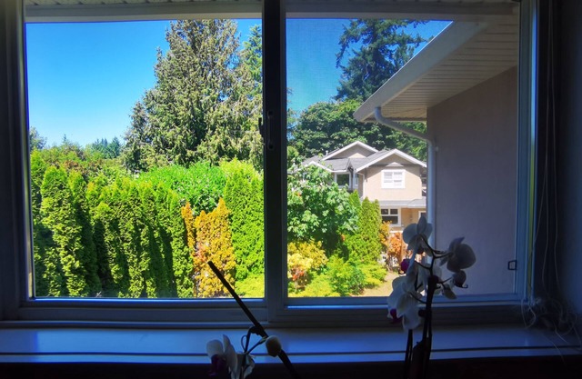 Eagle' house, Room #2