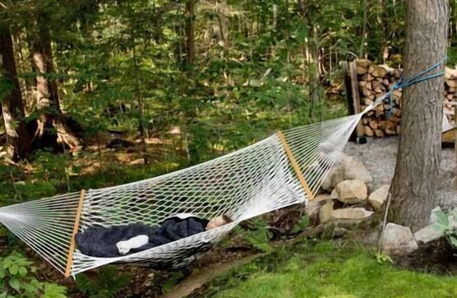 EARTH chalet in harmony with nature, Tremblant