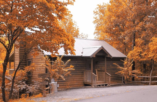 🍁 Einfacher Zugang und Flat Parking - 2. 6 Meilen von Parkway - Dollywood 6 Miles 🍁