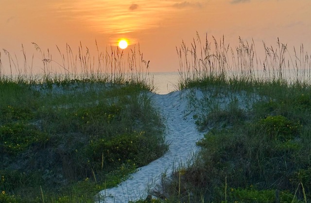 Easy Breezy Oceanfront ground floor condo in amazing Jax Beach, near Mayo