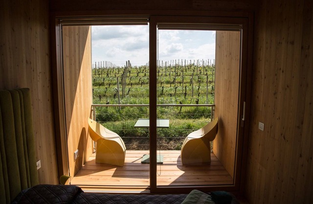 Eco Bio Agriturismo La Bella Vite