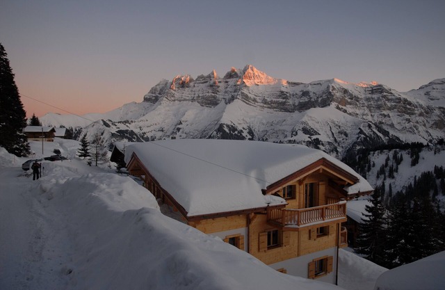 Luxuriöses neues Chalet in Les Crosets