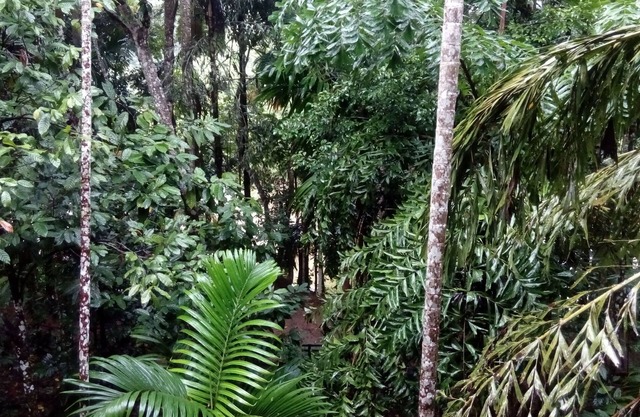 ECO FOREST VILLA - EIN FAMILIENHAUS MIT NATURSCHÖNHEITEN