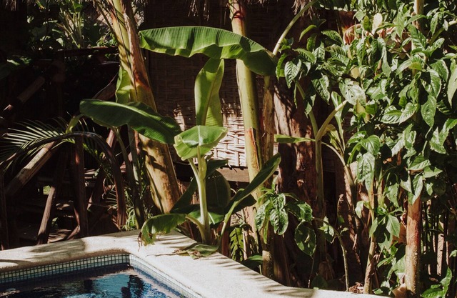 Eco Hotel Tahawi