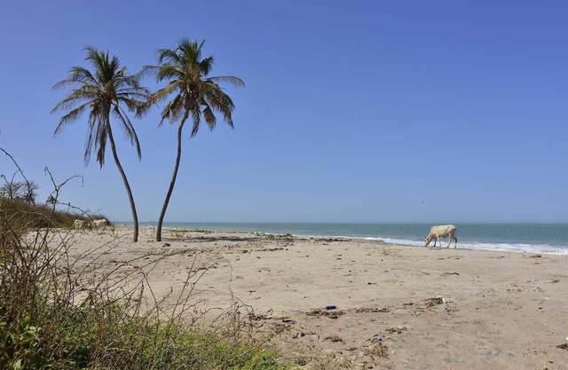 Ecolodge de Palmarin