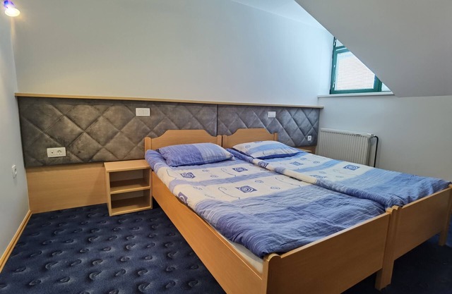 Economy double or twin room 21