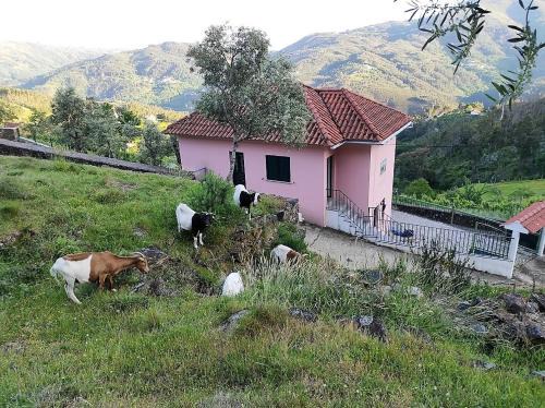 Ecorustics stay - Casa Ester