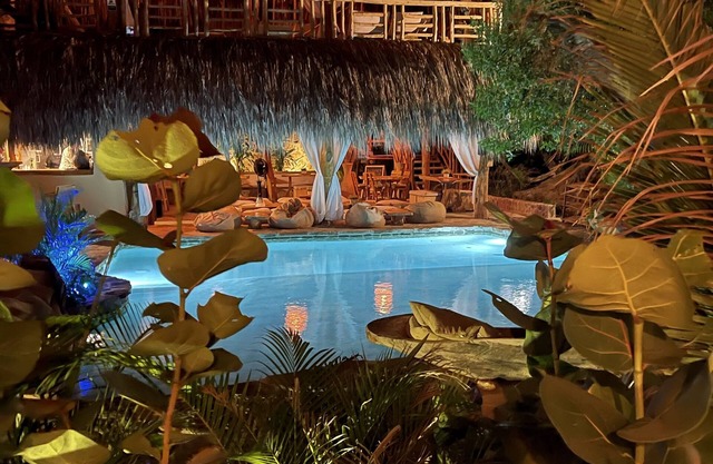 Ecoxata - Adults Only