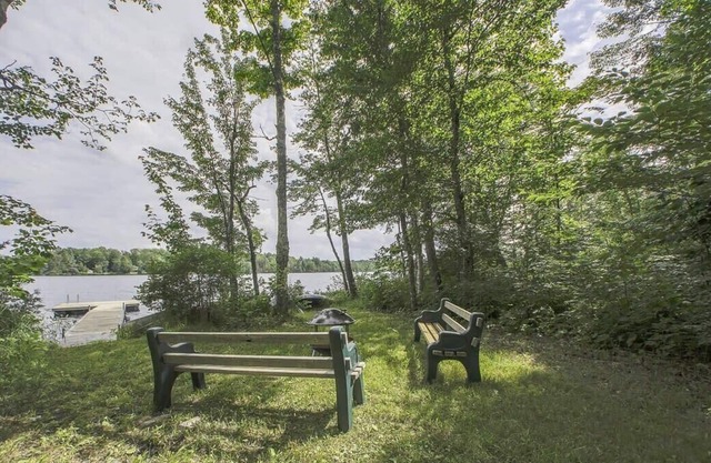 Edge of Peasley Lake - Monthly - Apogée