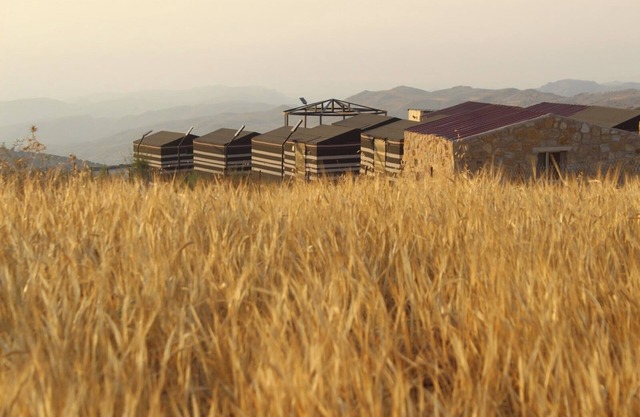 EIN LAHDA CAMP DANA