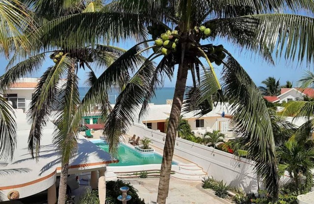 El Paraíso de Capitán Fernando: Condominio 3