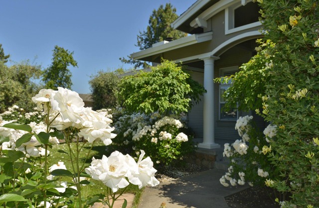 Elegant Yountville Retreat ... Ihr Weinlandurlaub beginnt vor Ihrer Haustür