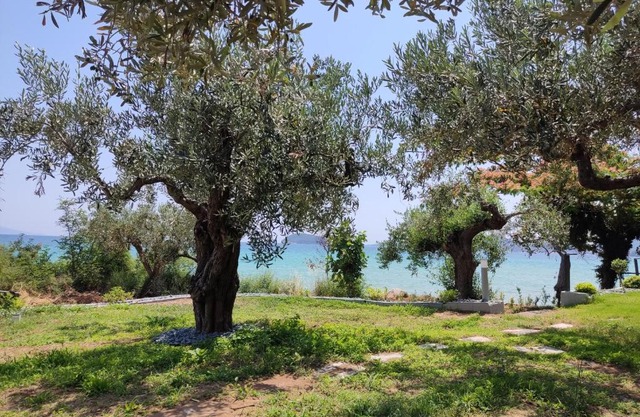 elia by the sea