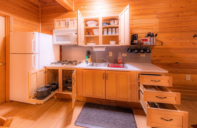 Elk Hollow Cabin with CHARM Backs National Forest, WIFI, stocked kitchen, BBQ