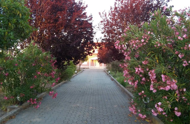 Elodie's Country House