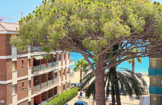 EMERALD SUN HOTEL