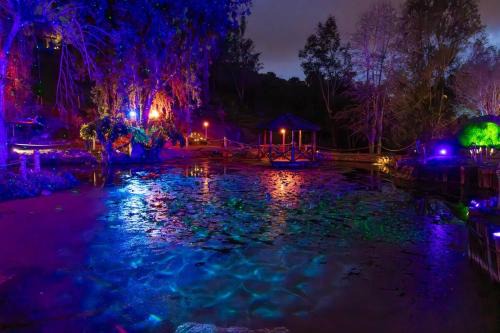 Enchanted Estate With Animals Lightscapes and Whimsy