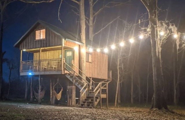 Enchanted Perch Tree House