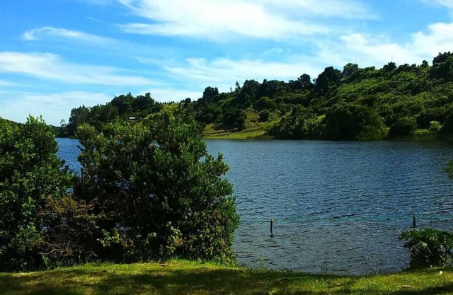 VERZAUBERTE RUSTIKALE KABINE ZWISCHEN WALD MIT ERSTAUNLICHEM BLICK AUF DEN SEE