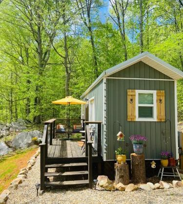 Enchanting Cottage In The Woods