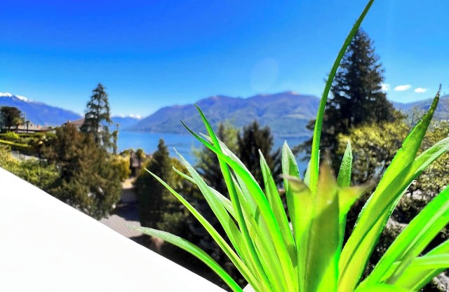 Enchanting View of Lake Maggiore & Mountains