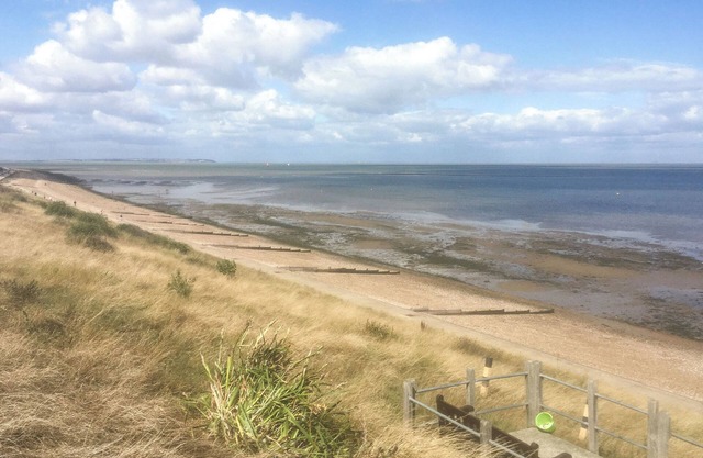 Enjoy a break in the coastal town of Whitstable with its working harbour and pebble beach.