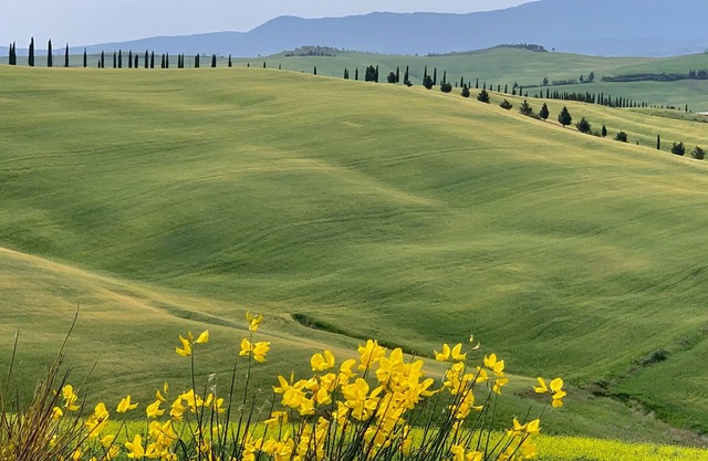 Genießen Sie einen Classic Tuscan Hill Town Urlaub