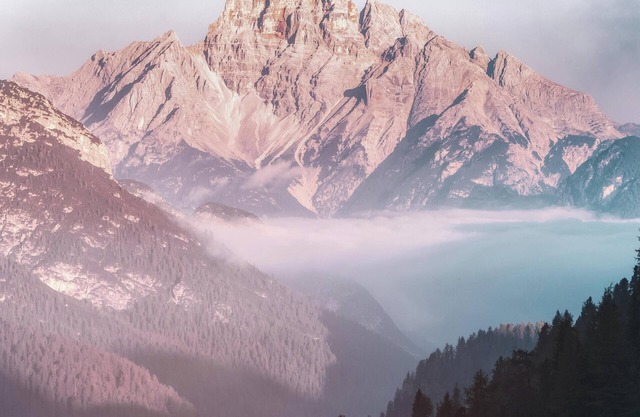 Enjoy a comfortable stay within walking distance of dining and shops