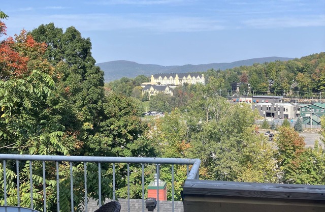 Enjoy a nice vacation in this Cozy condo fully furnished, with fireplace.