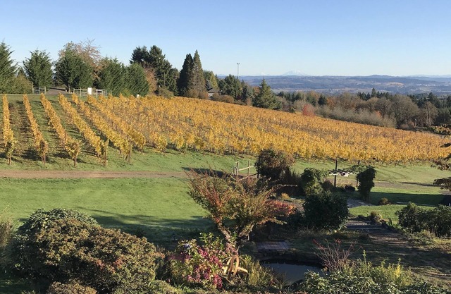 Enjoy a weekend in Oregon's Amazing Wine Country