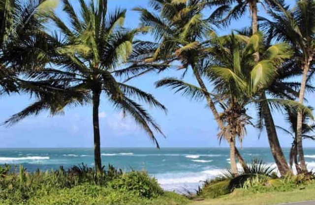 Enjoy beaches, water sports, nature & more!