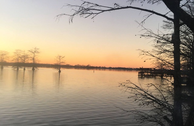 Genießen Sie den Lake Bruin und den Brushy Lake
