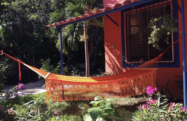 Enjoy Mayan Riviera in an authentic and friendly environment, beach & nature!