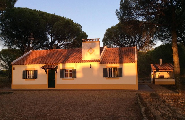 Genießen Sie die Schönheit des Alentejo. Haus aus in Kiefernwald und in der Nähe der schönen Strände