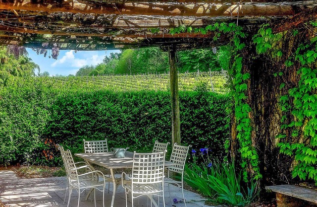 Enjoy the view of beautiful vineyards from this semi-detached house.