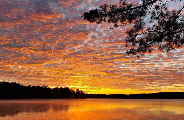 -Enjoy the Lake Life in Luxury - Galway Lake Private Waterfront