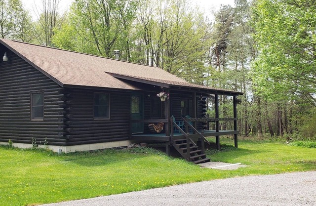 Enjoy the outdoors in this cozy Log Home on top of hill